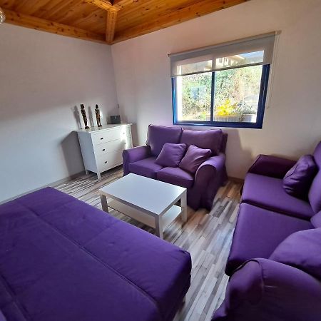 Tenerife Apartment 100M2 Casa De Don Quijote With A Terrace Of 100M2 With A View Of The Ocean And Teide Volcano And A Garden Of 600M2 Icod De Los Vinos Eksteriør bilde