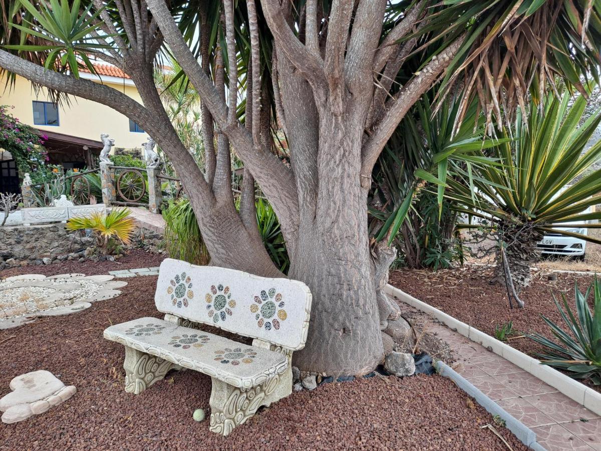 Tenerife Apartment 100M2 Casa De Don Quijote With A Terrace Of 100M2 With A View Of The Ocean And Teide Volcano And A Garden Of 600M2 Icod De Los Vinos Eksteriør bilde